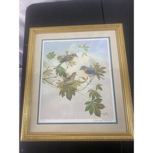 Vintage Bernard Spring Fledgling Signed‎ And Numbered Print Framed 218/500 1985